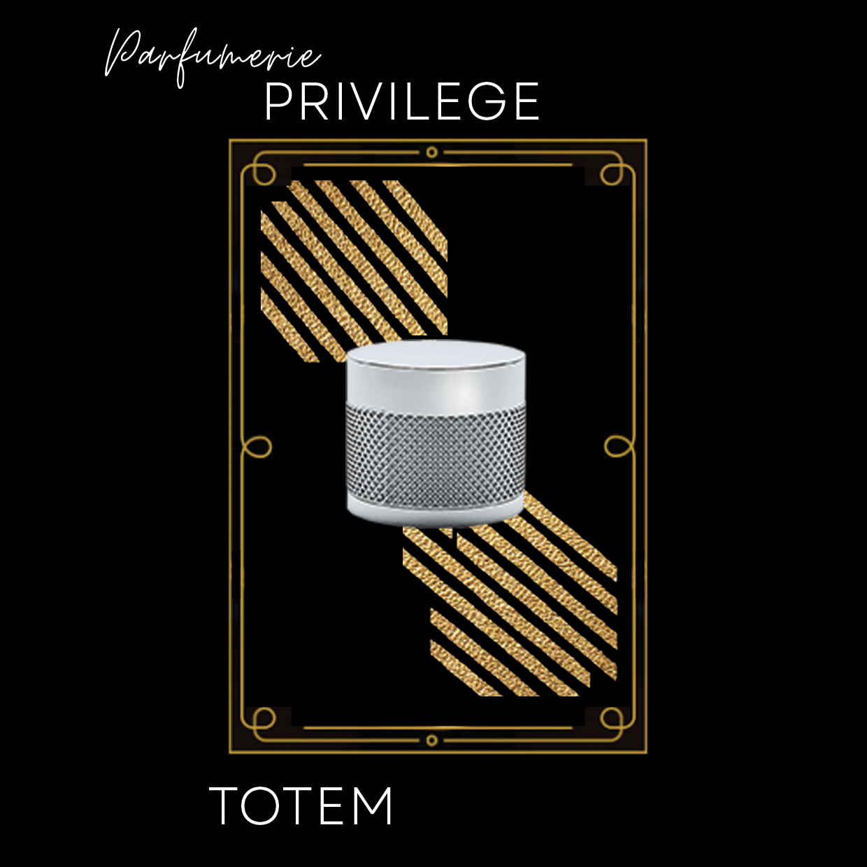 PRIVILEGE TOTEM